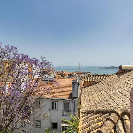 Joao Da Mata Amazing Views By Innkeeper-2